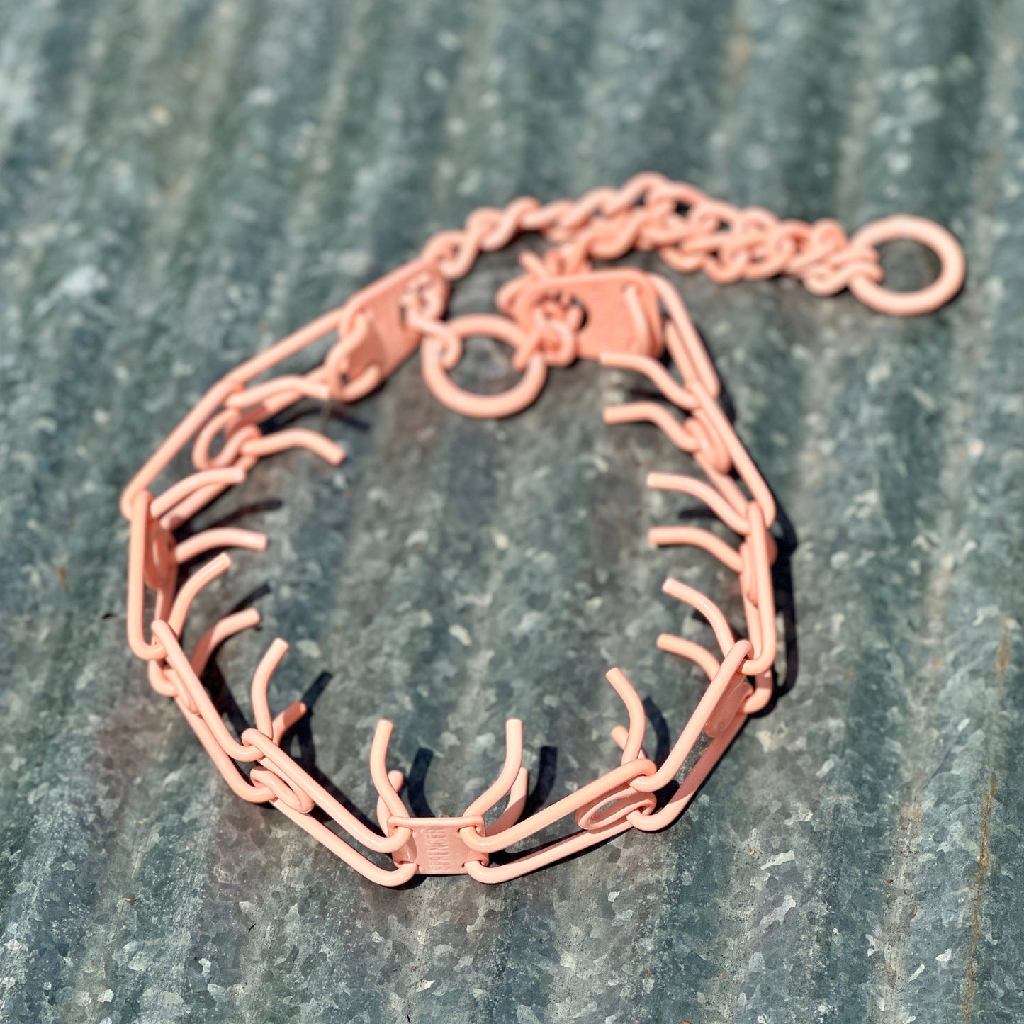 Neon Coral Custom Powder Coated Herm Sprenger Prong Collar for Dogs