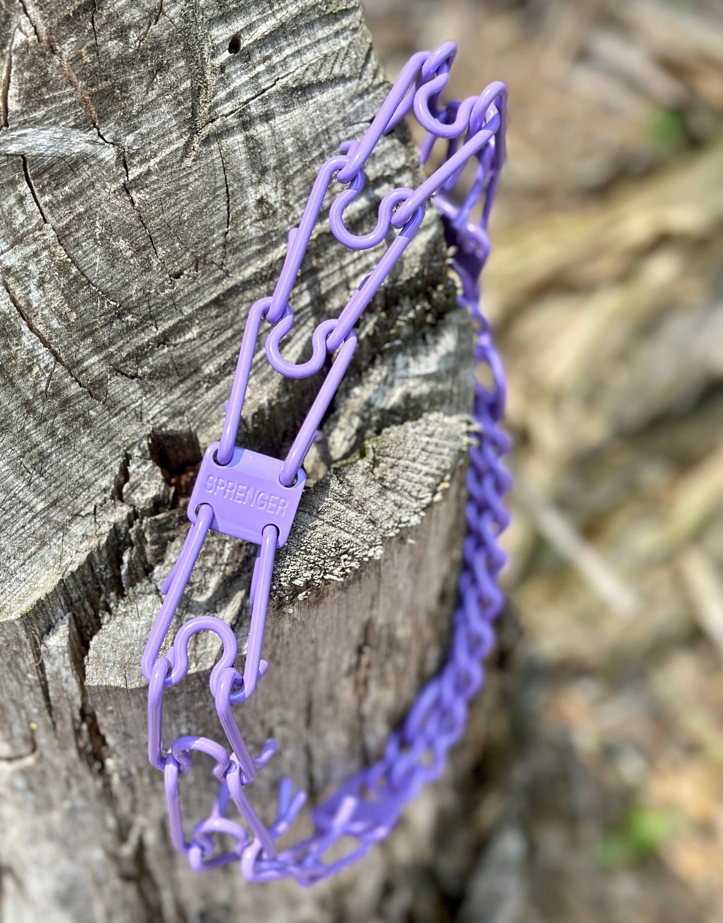 Lavender Custom Powder Coated Herm Sprenger Prong Collar for Dogs