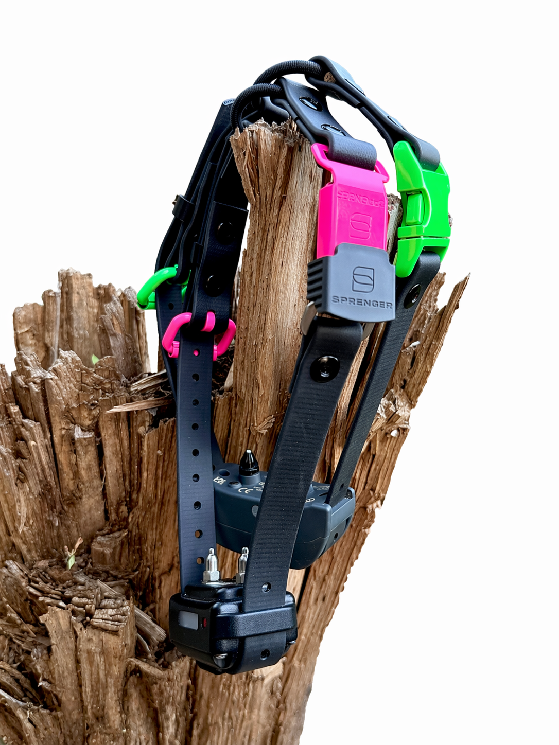 3/4" Biothane E-Collar Strap with Bungee | Powder Coated Hardware | HS ClicLock or Standard Buckle