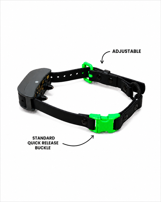 1" Biothane E-Collar Strap with Bungee | Powder Coated Hardware | Standard Buckle
