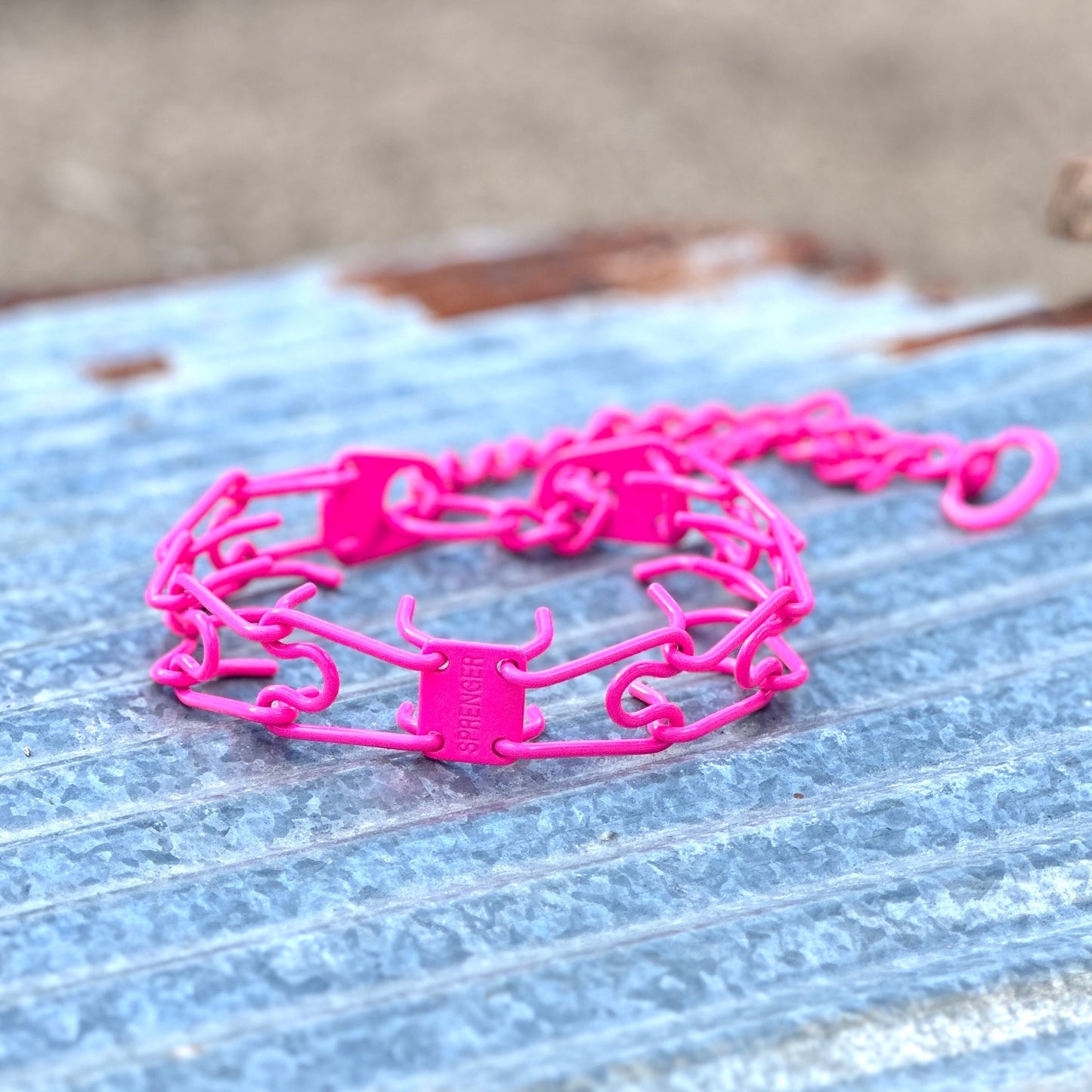 Neon Pink Custom Powder Coated Herm Sprenger Prong Collar for Dogs