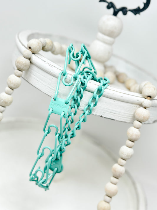 Seafoam Green Custom Powder Coated Herm Sprenger Prong Collar for Dogs