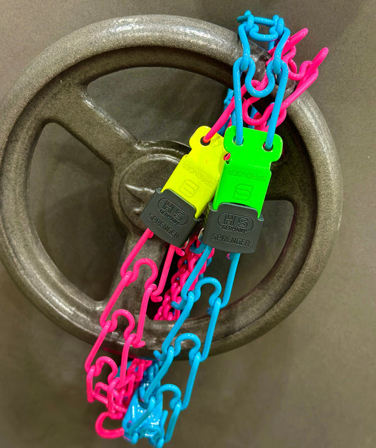 Custom Powder Coated Herm Sprenger Prong Collar with ClicLock Buckle