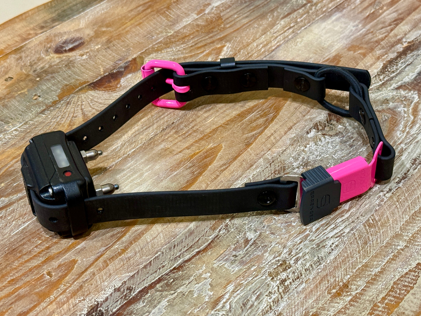 3/4" Biothane E-Collar Strap with Bungee | Powder Coated Hardware | HS ClicLock or Standard Buckle