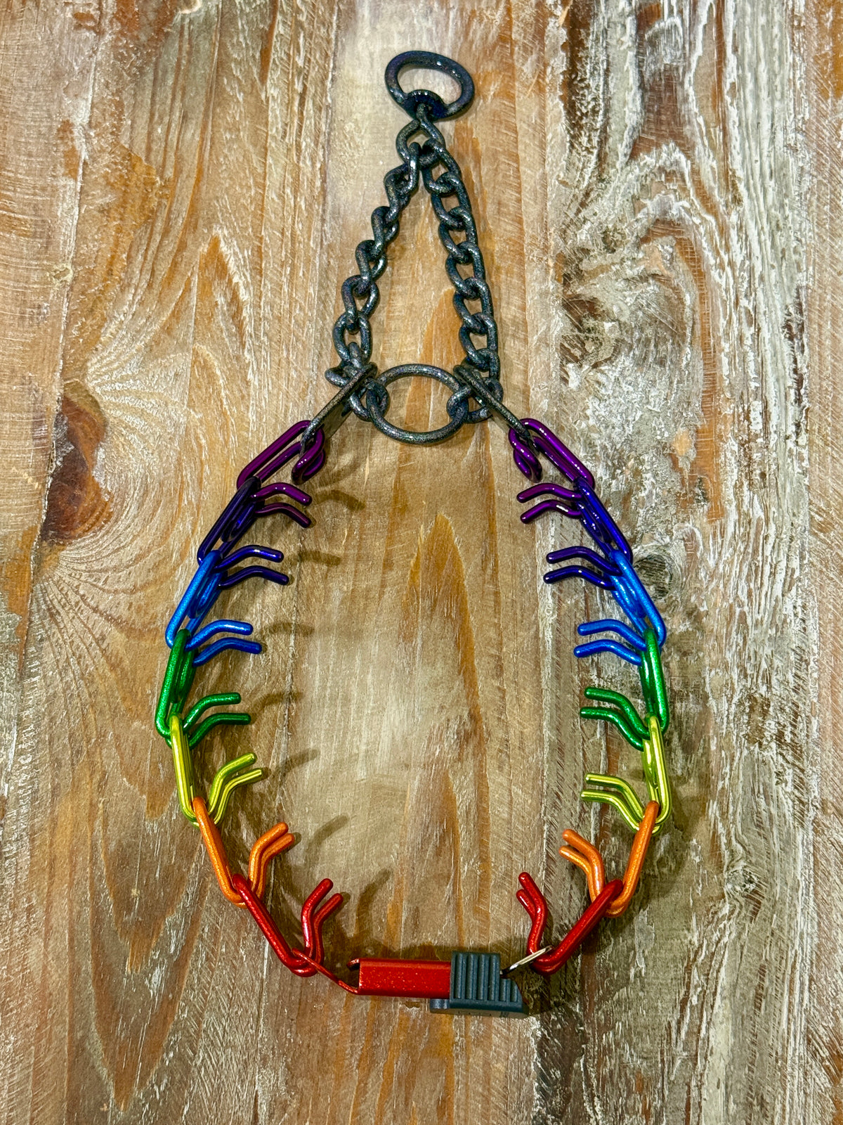 Rainbow Custom Powder Coated Herm Sprenger Prong Collar