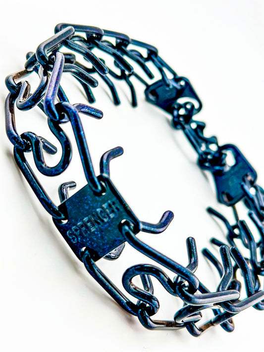 Chameleon Teal Custom Powder Coated Herm Sprenger Prong Collar for Dogs