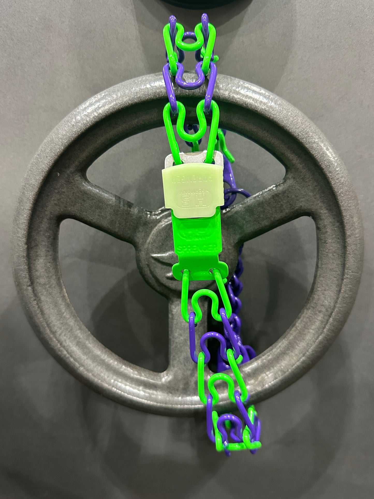 2 Color Custom Powder Coated Herm Sprenger Prong Collar for Dogs with Cliclock Buckle
