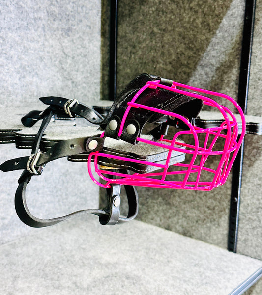 Custom Powder Coated Metal Wire Basket Dog Muzzle (Neon Colors)