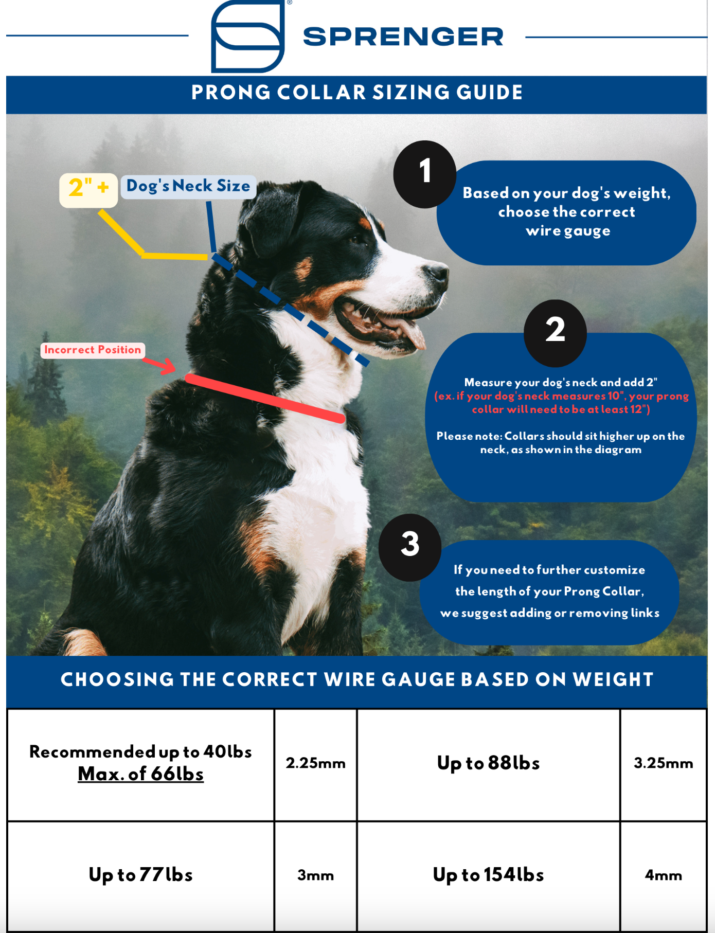 Herm sprenger prong top collar for dogs